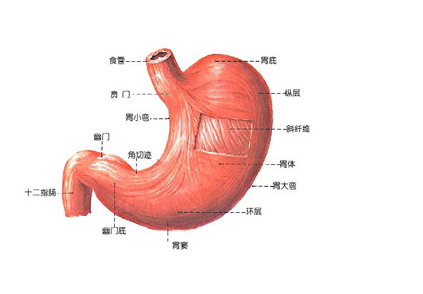 μӏ(qing)o(h)ί