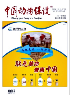 http://www.bigeer.cn/nyeqk/15383.html
