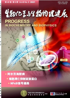 siRNA {fϵy(tng)оM(jn)չ