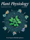 Journal Of Aerosol Science